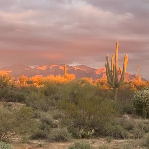 Meet your Posher, Mallory